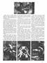Page: - 27 | High Times