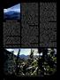 Page: - 46 | High Times