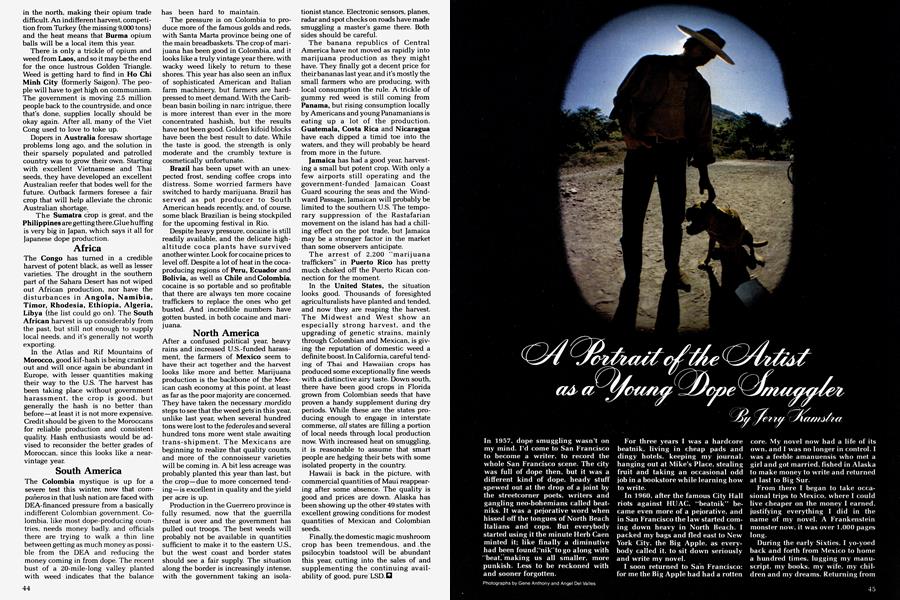 A Portrait of the Artist as a Young Dope Smuggler