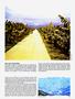 Page: - 31 | High Times