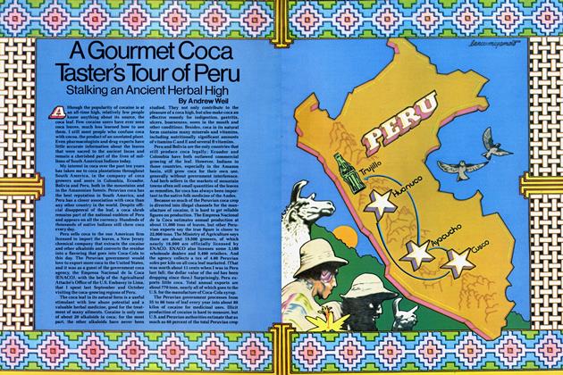 A Gourmet Coca Taster's Tour of Peru