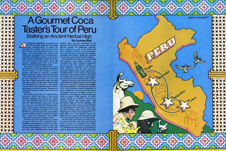 A Gourmet Coca Taster's Tour of Peru