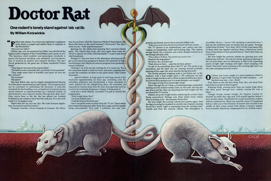 Doctor Rat
