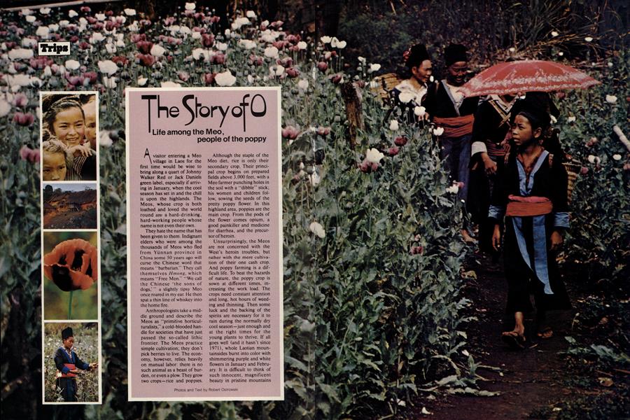 The Story of O