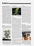 Page: - 11 | High Times