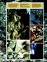 Page: - 51 | High Times