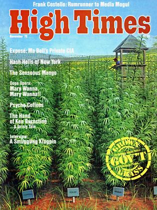 November '76 | High Times