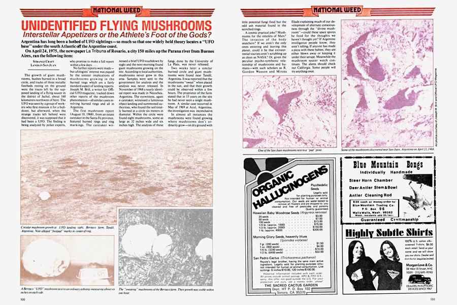 UNIDENTIFIED FLYING MUSHROOMS