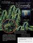 Page: - 5 | High Times