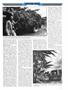 Page: - 111 | High Times