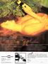 Page: - 23 | High Times