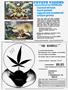 Page: - 21 | High Times