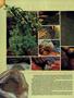 Page: - 60 | High Times