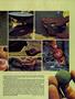 Page: - 61 | High Times