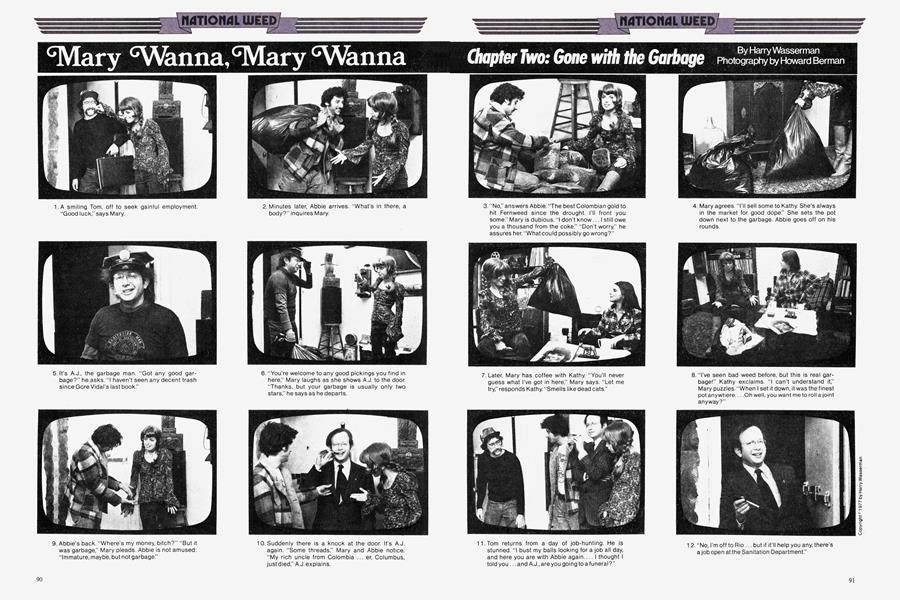 Mary Wanna, Mary Wanna
