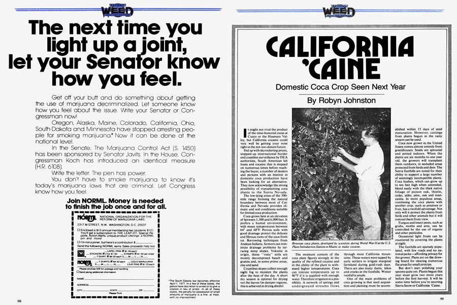 CALIFORNIA 'CAINE
