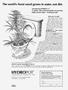 Page: - 17 | High Times
