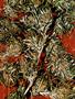 Page: - 58 | High Times
