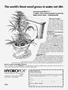 Page: - 31 | High Times