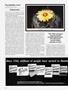 Page: - 94 | High Times