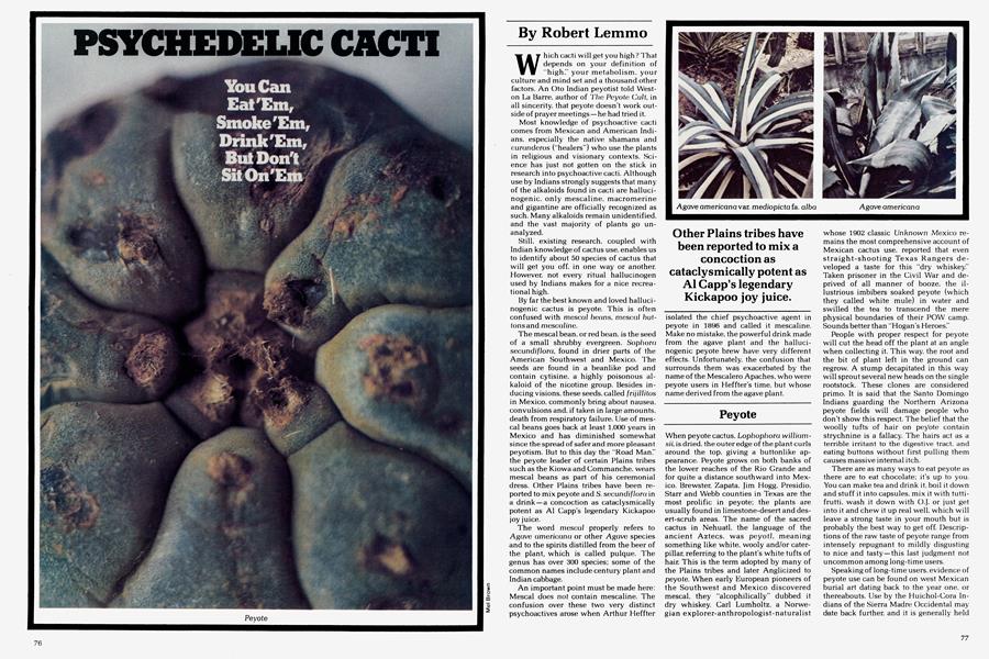 PSYCHEDELIC CACTI