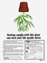 Page: - 93 | High Times