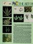 Page: - 54 | High Times