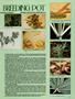Page: - 55 | High Times