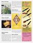 Page: - 11 | High Times