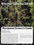 Page: - 117 | High Times