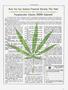 Page: - 97 | High Times