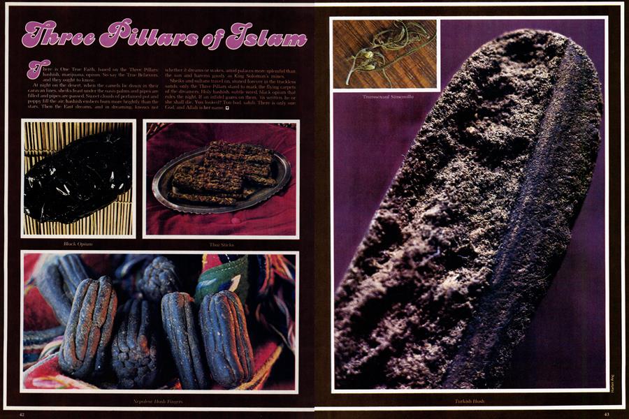 Three Pillars of Islam High Times November '77