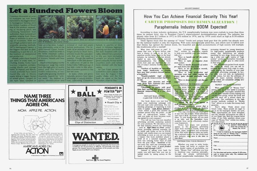 Let a Hundred Flowers Bloom