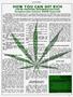 Page: - 137 | High Times