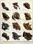 Page: - 91 | High Times