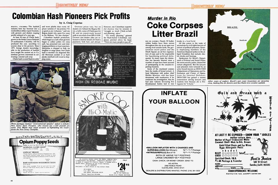 Colombian Hash Pioneers Pick Profits