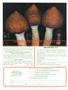 Page: - 32 | High Times