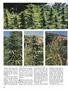 Page: - 60 | High Times