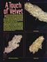 Page: - 40 | High Times
