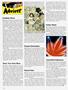 Page: - 10 | High Times