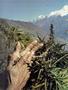 Page: - 56 | High Times