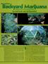 Page: - 63 | High Times