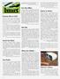 Page: - 8 | High Times