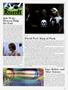 Page: - 99 | High Times