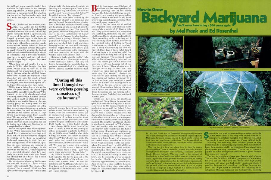 How to Grow Backyard Marijuana