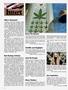 Page: - 8 | High Times