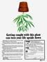 Page: - 85 | High Times