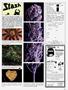 Page: - 109 | High Times