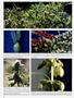 Page: - 58 | High Times