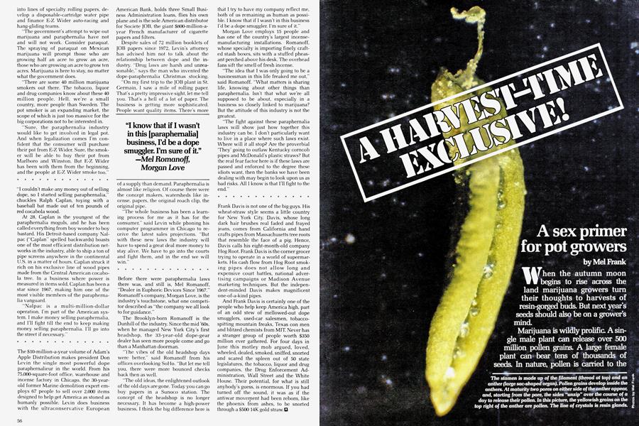A HARVEST-TIME EXCLUSIVE!